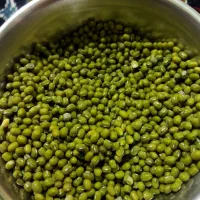 فروش ماشک