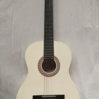 گیتار ماکسین ساخت چین به همراه کاور