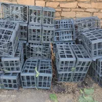 سبدکاهو