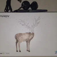 قلم نوری هیون Huion H640P