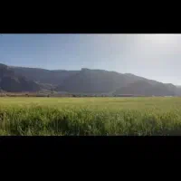 500متر-زمین-کشاورزی