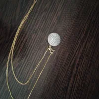 پلاک و زنجیر وزنش ۴/۸۹۰سوت