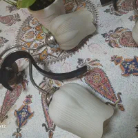 لوستردوشاخه
