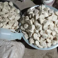 فروش|عمده‌فروشی|سده (خراسان جنوبی), |دیوار