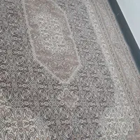 دو عدد فرش ۶ متری|فرش|کرمانشاه, |دیوار