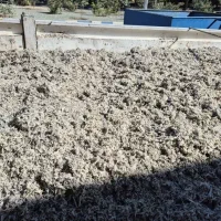 تفاله چغندر|لوازم جانبی حیوانات|اصفهان, سرشبادران|دیوار