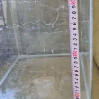 آکواریوم|ماهی|تهران, مولوی|دیوار