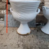 گلدان سرامیکی و پلاستیکی|گل و گیاه طبیعی|قم, زند آباد|دیوار