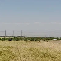 زمین گلخانه و باغ
