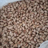 پسته خودرا بدون واسطه از کشاورز خریداری کنید