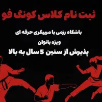 آموزش کونگ فو