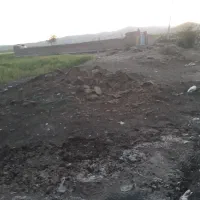 کود حیوانی گوسفندی