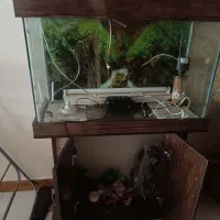 آکواریوم فروش فوری به علت جابه جایی|ماهیگیری|تهران, تهرانسر شمالی|دیوار