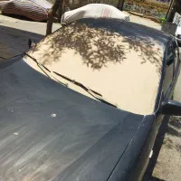 گل پاشی خودرو