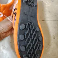 کفش ورزشی|کیف، کفش، کمربند|تهران, باغ فیض|دیوار