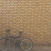 دوچرخه 24 نو دنده ای