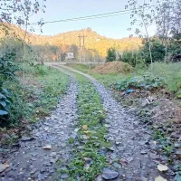 لنگرود کومله اطاقور ویلا مبله جنگلی ویوابدی|اجارهٔ کوتاهمدت ویلا و باغ|لنگرود, |دیوار