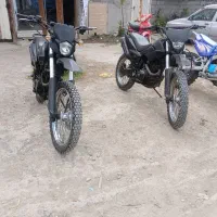 فروش راتو ۲۵۰ در حد