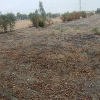 زمین تجاری بر اصلی اتوبان|فروش دفتر صنعتی، کشاورزی، تجاری|سرخنکلاته, |دیوار