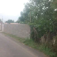 فروش زمین|فروش زمین و ملک کلنگی|خمام, |دیوار