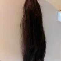 مو طبیعی|آرایشگاه و سالن‌های زیبایی|رشت, گلسار|دیوار