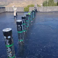 ایزوگام و قیر گونی حاجوی|خدمات پیشه و مهارت|میانه, |دیوار