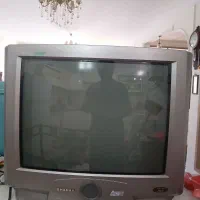 تلویزیون