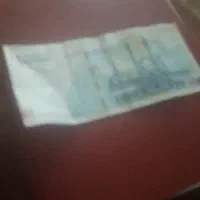 هفت عدد قفسه بفروش می رسد