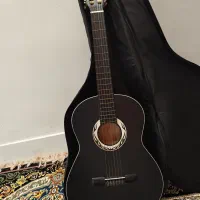 گیتار دیاموند با کاورش