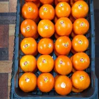 فروش پرتغال لوکس صادراتی و داخلی|حراج|سورک, |دیوار