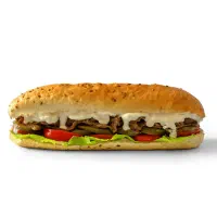 کارگرساده نیم شیفت