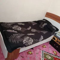 دو عدد تخت تک نفره