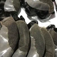 فروش و ترمیم پروتز مو طبیعی|خدمات آرایشگری و زیبایی|رشت, سعدی (تختی)|دیوار