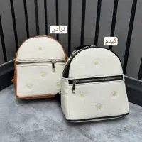 انواع کیف زنانه حراجی|کیف، کفش، کمربند|رفسنجان, |دیوار