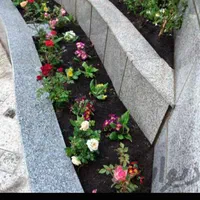 باغبانی سم  پاشی درختان در تمام نقاط شهر|خدمات باغبانی و درختکاری|مشهد, آزادشهر|دیوار