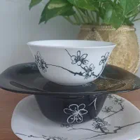 سرویس آرکوپال لومینارک