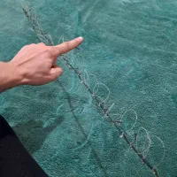 فروش تله برای صید پرندگان مورد علاقه|لوازم جانبی حیوانات|لاهیجان, گلستان|دیوار