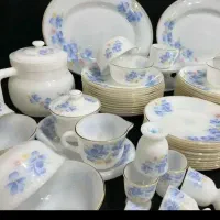 ارکوپال آمریکایی اصلی MP