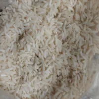 برنج هاشمی