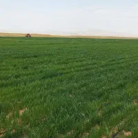 مزرعه-و-زمین-کشاورزی-23-هکتاری-محدوده-خمین