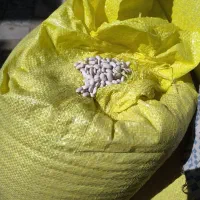 لوبیا سفید درجه یک ،بوجاری شده ،لیزر|خوردنی و آشامیدنی|نهاوند, |دیوار