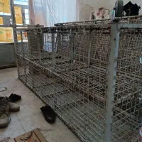 قفس چهارطبقه|لوازم جانبی حیوانات|صحنه, |دیوار