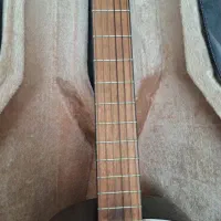 گیتار هافنر نو|گیتار، بیس، امپلیفایر|رشت, منظریه|دیوار