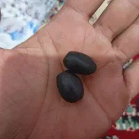 انواه مهره|جواهرات|آبادان, |دیوار