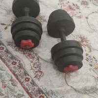 دمبل