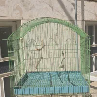 4 عدد قفس پرنده