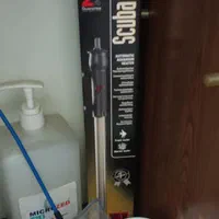 فلاور تایلندی|ماهی|ری, حمزهآباد|دیوار