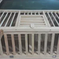 قفس راه کس