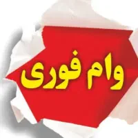 پرداخت تسهیلات و وام فوری