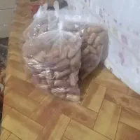 خرما قندشکنی